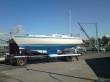 Tove vaxad.JPG